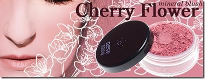 cherry flower cherry flower