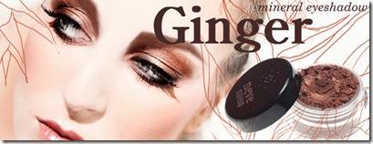 ginger ginger