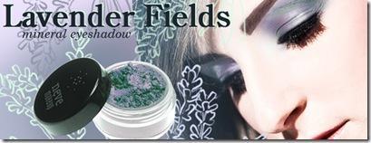 lavander fields lavander fields