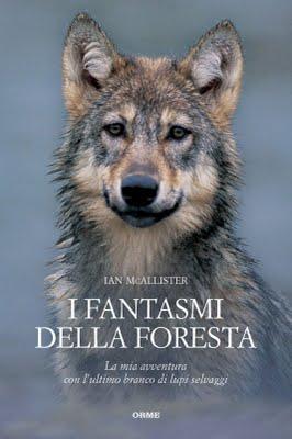 in libreria: I Fantasmi della Foresta/Fuego/Demoni - Istruzioni per l'uso