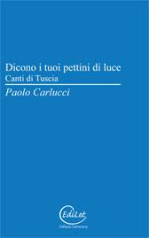 QUEL CHE RESTA DEL VERSO n.73: Le colline del ricordo. Paolo Carlucci, “Dicono i tuoi pettini di luce. Canti di Tuscia”