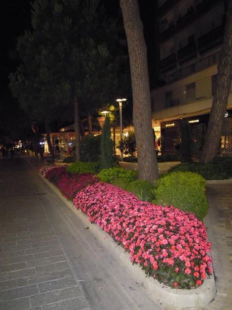 A Night in Milano Marittima