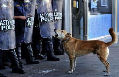 Ogni patria celebra i suoi eroi: Loukanikos vs Scilipoti