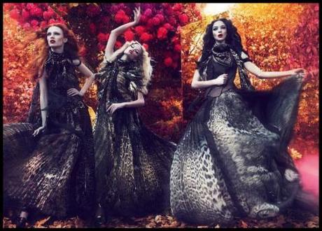 AD Campaign// Roberto Cavalli Fall/Winter 2011/12