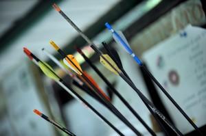 World archery 2011, torino