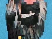 Nedrycondors