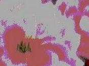 Barren Waste Spectre [2011]