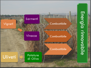 Biomassa, progetto Cantine Settesoli: Informati e Partecipa