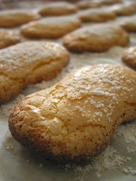 Biscotti di Fonni - savoiardi sardi - Copyright Tutti i diritti riservati a comidademama