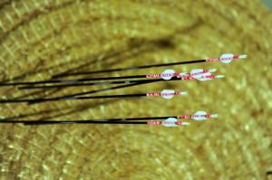 Mondiali di Tiro con lArco: Oro e Bronzo allItalia