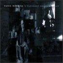 Fates Warning - A pleasant shade of grey