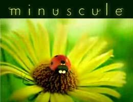 Minuscule