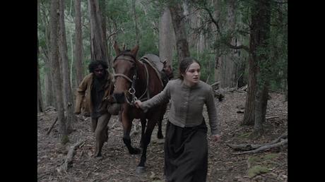 The nightingale The nightingale