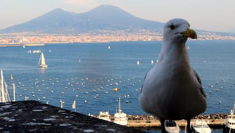 Napoli: il caffè, l'ombrello, le parole...tutto sospeso!!! Napoli: il caffè, l'ombrello, le parole...tutto sospeso!!!