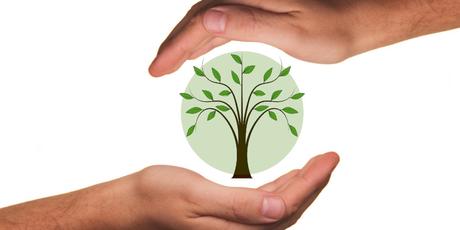 Quali sono gli assorbenti ecologici? prodotti ecologici