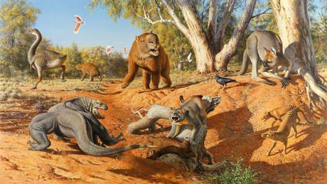Umani e cambiamenti climatici hanno portato all'estinzione la Megafauna australiana. Umani e cambiamenti climatici hanno portato all'estinzione la Megafauna australiana.