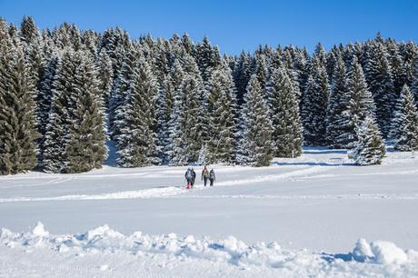 skipass folgaria fiorentini lavarone skipass folgaria fiorentini lavarone
