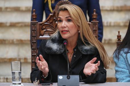 Oggi si apre in Brasile 55esimo Mercosur con la presenza per la Bolivia della presidente ad interim Anez Risultati immagini per jeanine anez