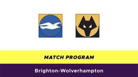Probabili formazioni Premier League 2019/2020: 16° giornata Brighton-Wolverhampton probabili formazioni