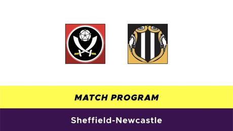 Probabili formazioni Premier League 2019/2020: 16° giornata Sheffield-Newcastle probabili formazioni