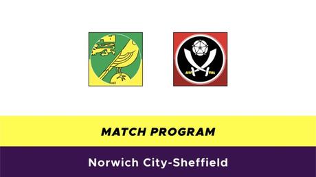 Probabili formazioni Premier League 2019/2020: 16° giornata Norwich-Sheffield probabili formazioni
