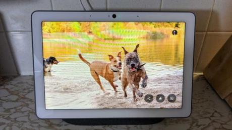 Google Nest Hub ha appena migliorato la sua funzione migliore Google Nest Hub opzioni cornice digitale