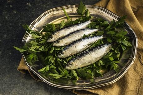 Chi mangia sardine campa cent’anni… a carico dello Stato! E una storia delle “sardine” dalle origini a oggi. Chi mangia sardine campa cent’anni… a carico dello Stato! E una storia delle “sardine” dalle origini a oggi.