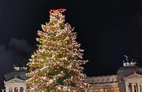 Se Spelacchio finalmente è bello il merito è tutto di Roma fa Schifo. Ecco perché Se Spelacchio finalmente è bello il merito è tutto di Roma fa Schifo. Ecco perché