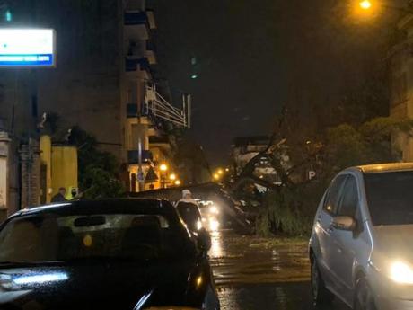 Maltempo choc in Campania, strade allagate e alberi caduti: uno colpisce pensilina Maltempo choc in Campania, strade allagate e alberi caduti: uno colpisce pensilina