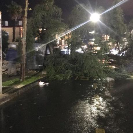 Maltempo choc in Campania, strade allagate e alberi caduti: uno colpisce pensilina Maltempo choc in Campania, strade allagate e alberi caduti: uno colpisce pensilina