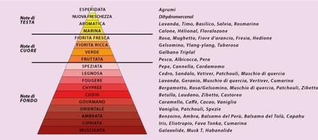 piramide olfattiva PROFUMI: COSA SONO E COME SCEGLIERLI