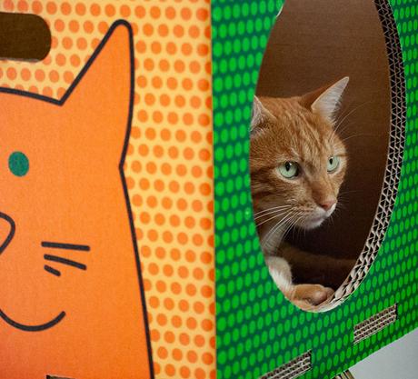 La cuccia Catpotai Ecofriendly - Anche i felini amano l'ambiente La cuccia Catpotai Ecofriendly - Anche i felini amano l'ambiente