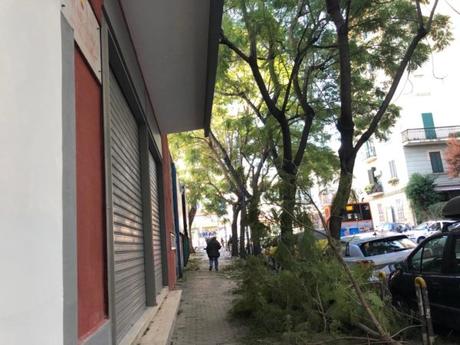 Vento forte a Napoli: cadono alberi e calcinacci. Posticipata alle 18.30 la partita Vento forte a Napoli: cadono alberi e calcinacci. Posticipata alle 18.30 la partita