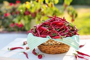 I benefici del peperoncino per la salute di cuore e cervello peperoncino