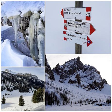 ciaspole val venegia baita segantini ciaspole val venegia baita segantini