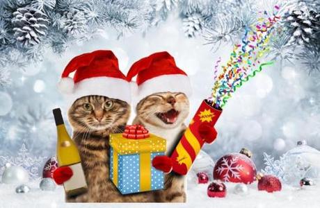 Divertenti messaggi e frasi di Natale da inviare su WhatsApp Divertenti messaggi e frasi di Natale da inviare su WhatsApp