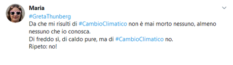 A quella impunita di Greta Thunberg diciamo NO, facciamolo per i nostri figli! A quella impunita di Greta Thunberg diciamo NO, facciamolo per i nostri figli!