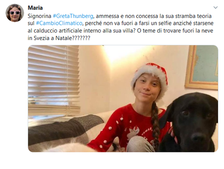 A quella impunita di Greta Thunberg diciamo NO, facciamolo per i nostri figli! A quella impunita di Greta Thunberg diciamo NO, facciamolo per i nostri figli!