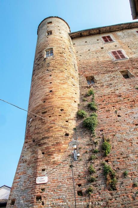 Castello di Castiglione Falletto - Langhe Fotografie Castello di Novello - Langhe