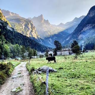Val di Mello: mucche brutte, monti disgraziati e nobili bidet Val di Mello: mucche brutte, monti disgraziati e nobili bidet