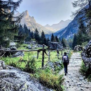 Val di Mello: mucche brutte, monti disgraziati e nobili bidet Val di Mello: mucche brutte, monti disgraziati e nobili bidet