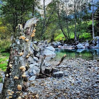 Val di Mello: mucche brutte, monti disgraziati e nobili bidet Val di Mello: mucche brutte, monti disgraziati e nobili bidet