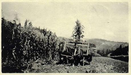 Le foto Ufo più eclatanti della storia 1^parte (dal 1870 al 1930) Le foto Ufo più eclatanti della storia 1^parte (dal 1870 al 1930)
