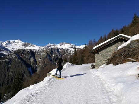 Raggiungere Chamois a piedi, una ciaspolata in Valle d'Aosta Raggiungere Chamois a piedi, una ciaspolata in Valle d'Aosta