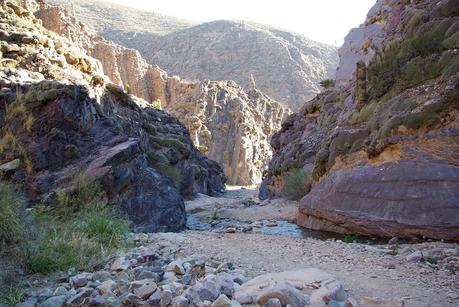 Argentina del Nord in auto: itinerario da Salta a Humahuaca Argentina del Nord in auto: itinerario da Salta a Humahuaca