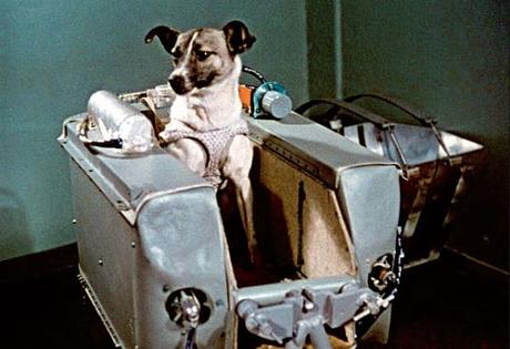 La vera storia di Laika, l’astronauta cane (Video) Laika