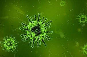 Infezione da Coronavirus: informazione e buon senso virus