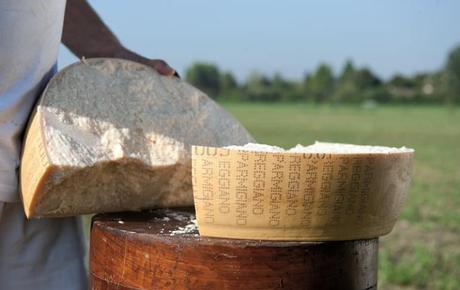 A Reggio Emilia il primo corso per diventare casaro del Parmigiano Reggiano. Ah, è gratuito A Reggio Emilia il primo corso per diventare casaro del Parmigiano Reggiano. Ah, è gratuito