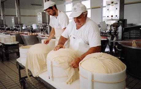 A Reggio Emilia il primo corso per diventare casaro del Parmigiano Reggiano. Ah, è gratuito A Reggio Emilia il primo corso per diventare casaro del Parmigiano Reggiano. Ah, è gratuito