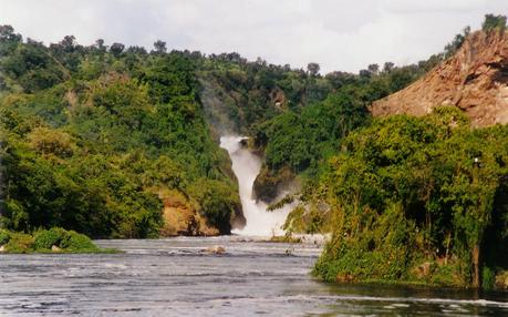 Aree protette africane: Il Murchinson Falls National Park è il parco nazionale più vasto dell’Uganda. Aree protette africane: Il Murchinson Falls National Park è il parco nazionale più vasto dell’Uganda.